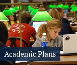 Academic Plan button