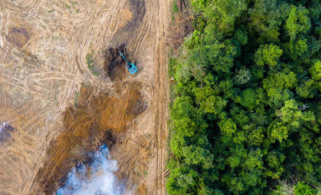 An area being clear cut of trees with machines and burning