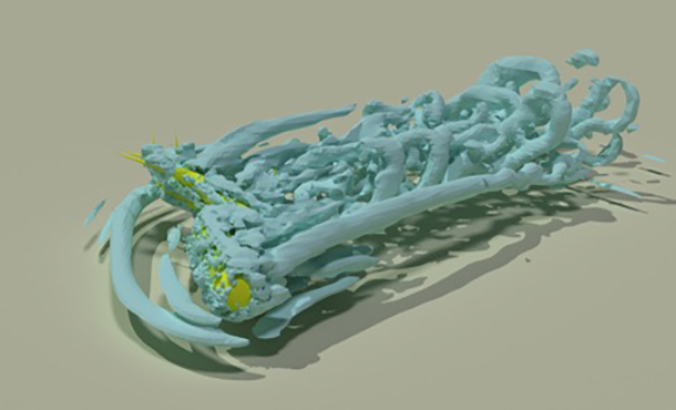 Simulated 3D flow structures around trees with Liu’s model
