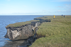 arctic coast